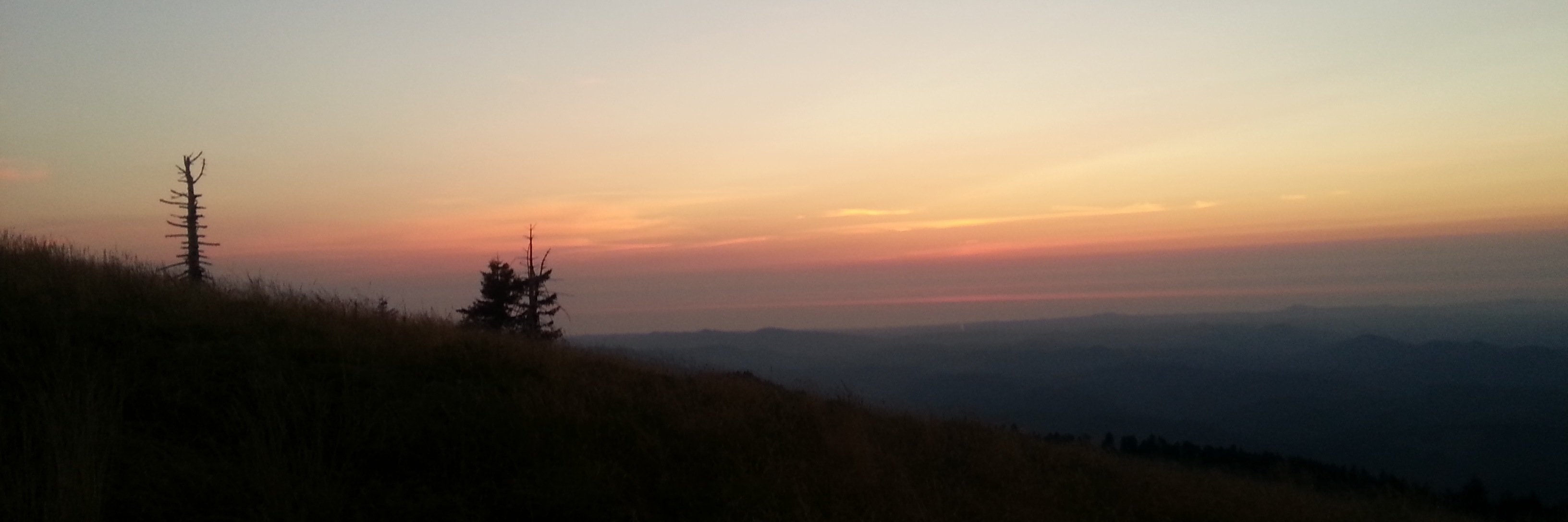 MikeJWms's profile banner image