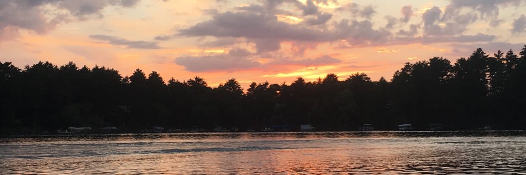 Elise Powers banner