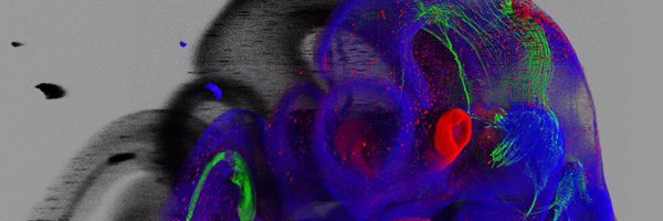 adameykolab Profile Banner