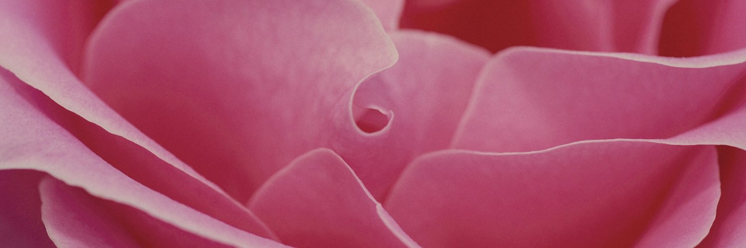 British Society of Perfumers banner