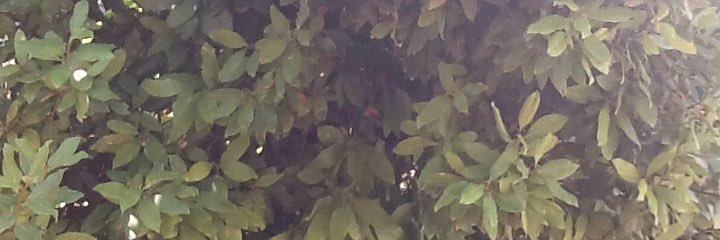 NEFRONtheone's profile banner image