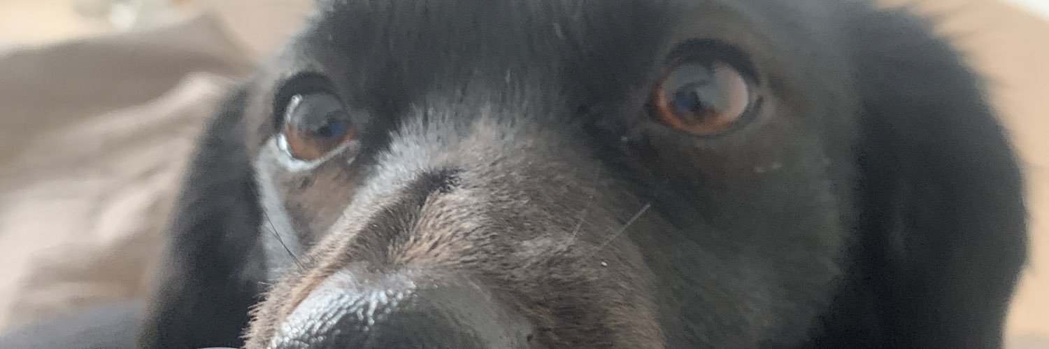 mitchjlm98's profile banner image