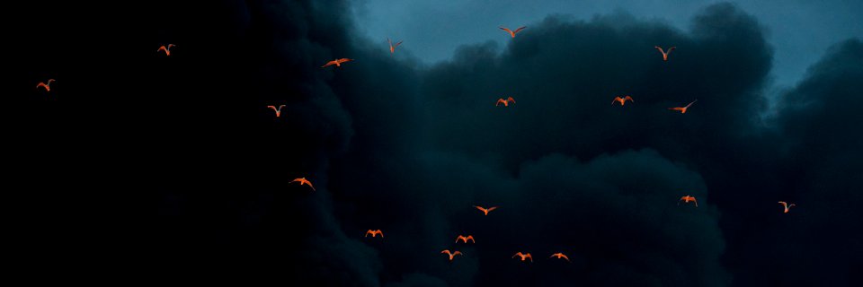 insearchofsky's profile banner image