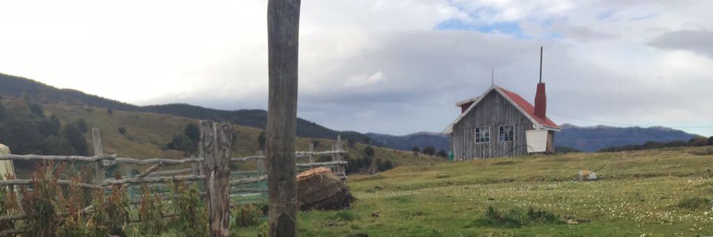 RedAustral_tvn's profile banner image