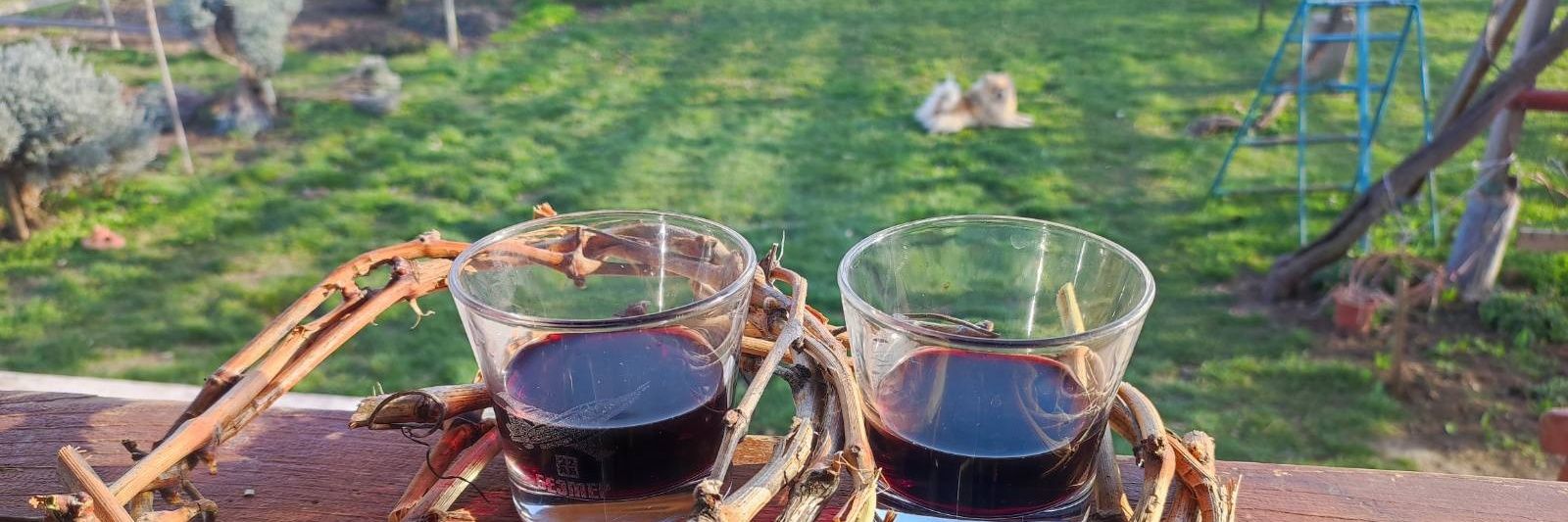 Всичко с времето си ⏳ banner