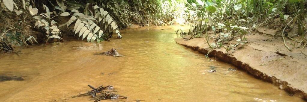 شيدا محمد | ڤنترجمه بيبس banner