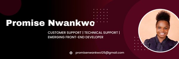 PromiseNwankw14 Profile Banner