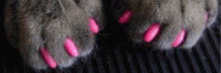 Puchi_p02's profile banner image
