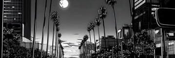 RaoulPal43's profile banner image