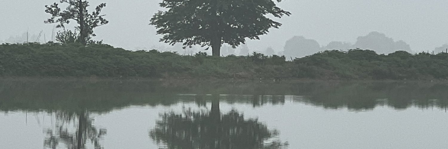 علی عالی's banner