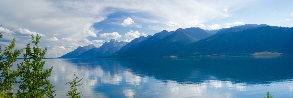 Martin Roesch banner