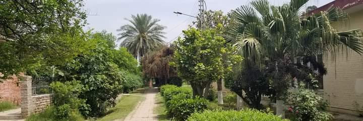 WaleedNusrat's profile banner image