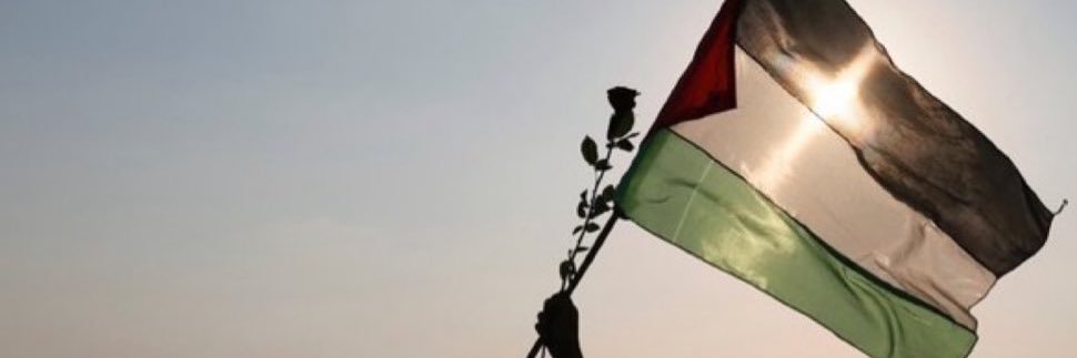 Safaa صفاء banner
