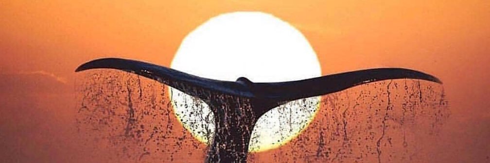 OhRick's profile banner image