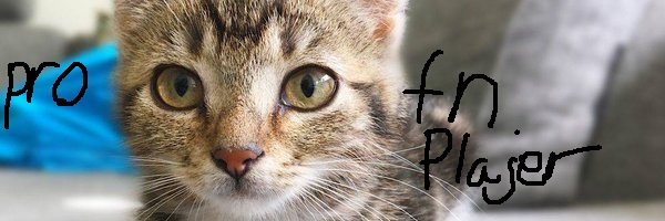 Kasity banner
