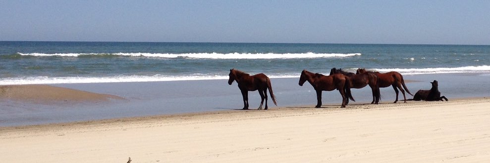 O'Brien@obx... banner