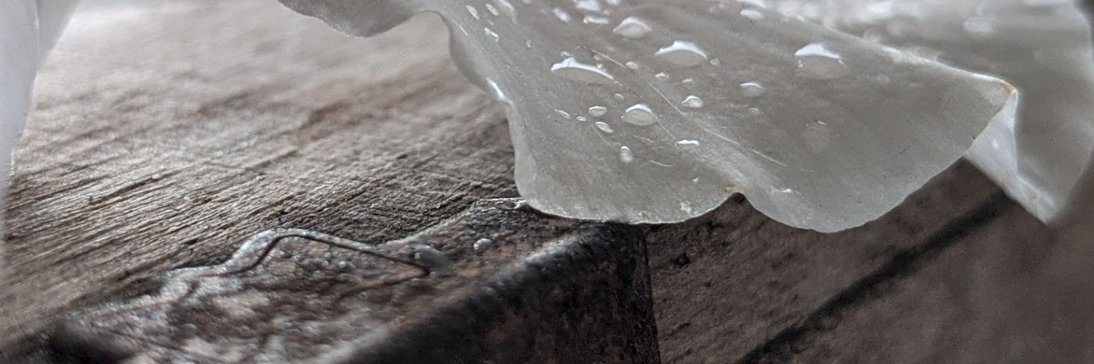 @herr-jason.bsky.social banner