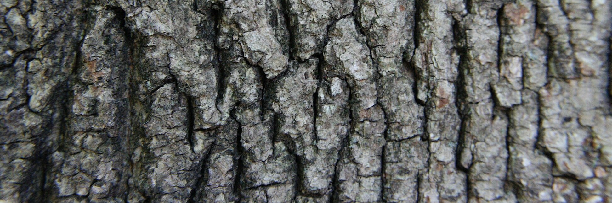 @Trav@sunbeam.city banner