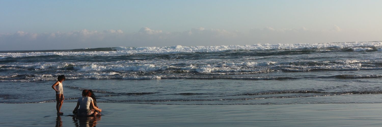 dwilaaila's profile banner image