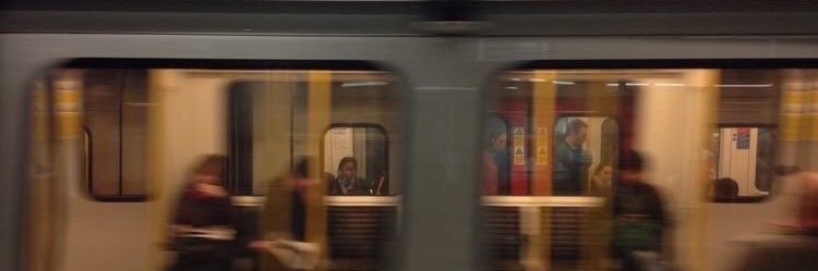 𝑫 𝑫 𝑨 𝒀 banner
