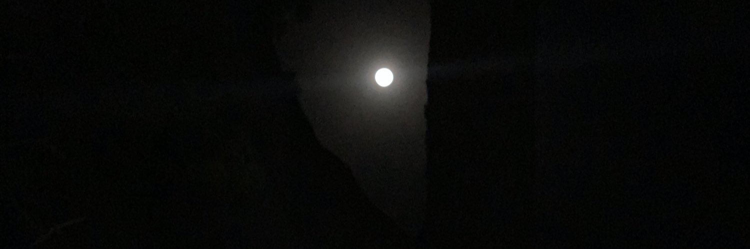 EmilioSialle's profile banner image