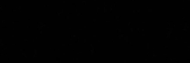 CariFestival's profile banner image