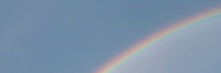 ʀօƈɨօ banner
