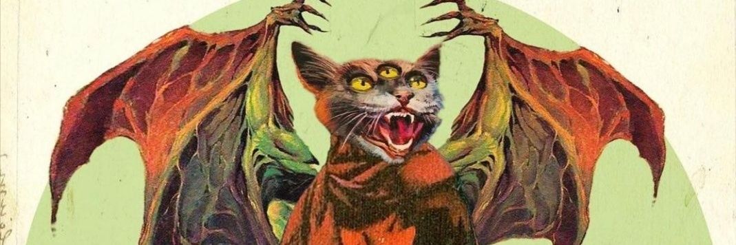 kittykovac's profile banner image
