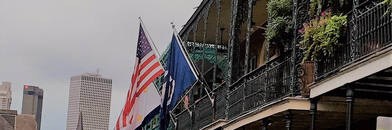bointree's profile banner image
