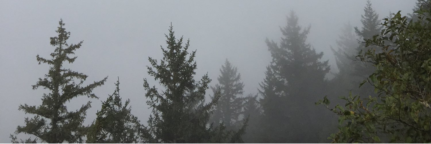 RJRouseHouse's profile banner image