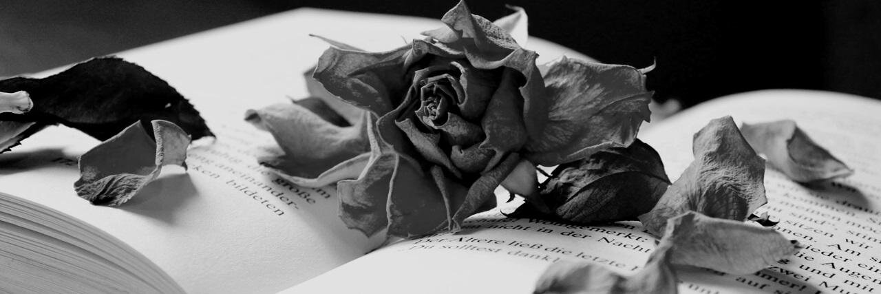 CarolineB_FT's profile banner image