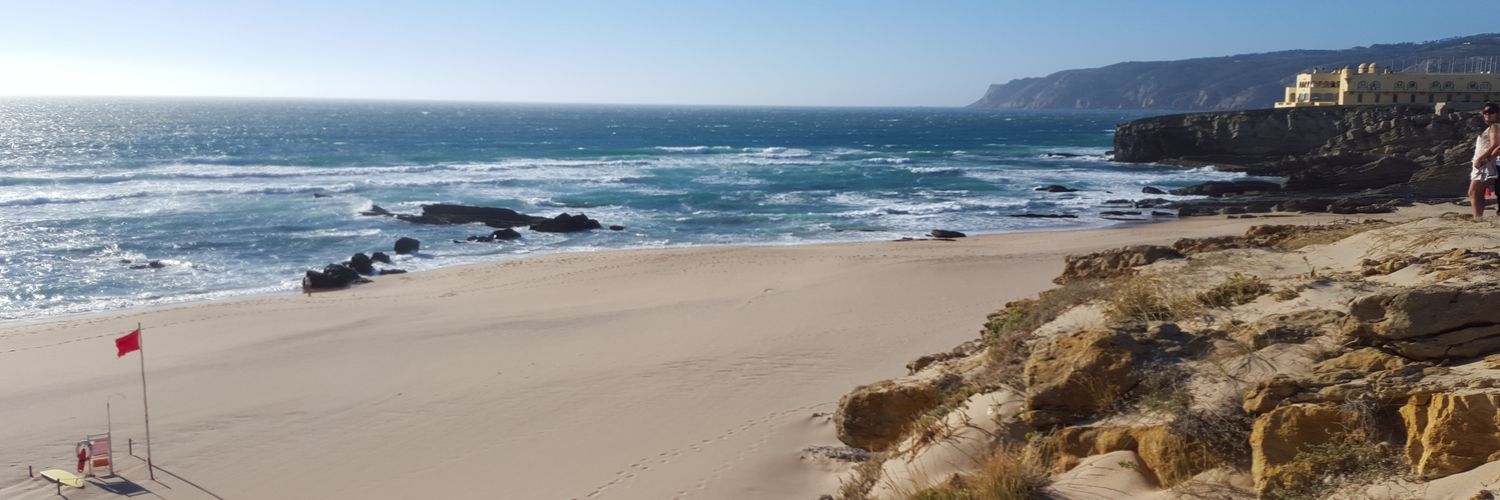 Joanna Górska banner