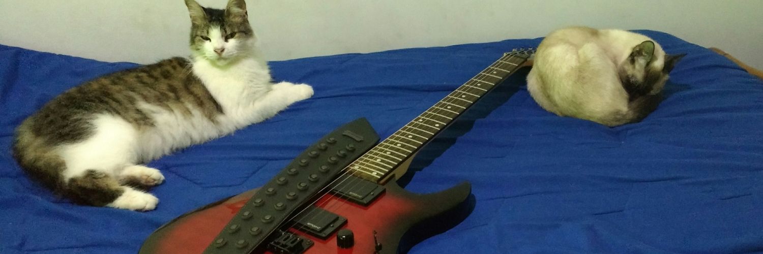 NachoDeLuca's profile banner image