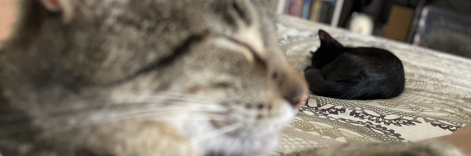 caromorles's profile banner image
