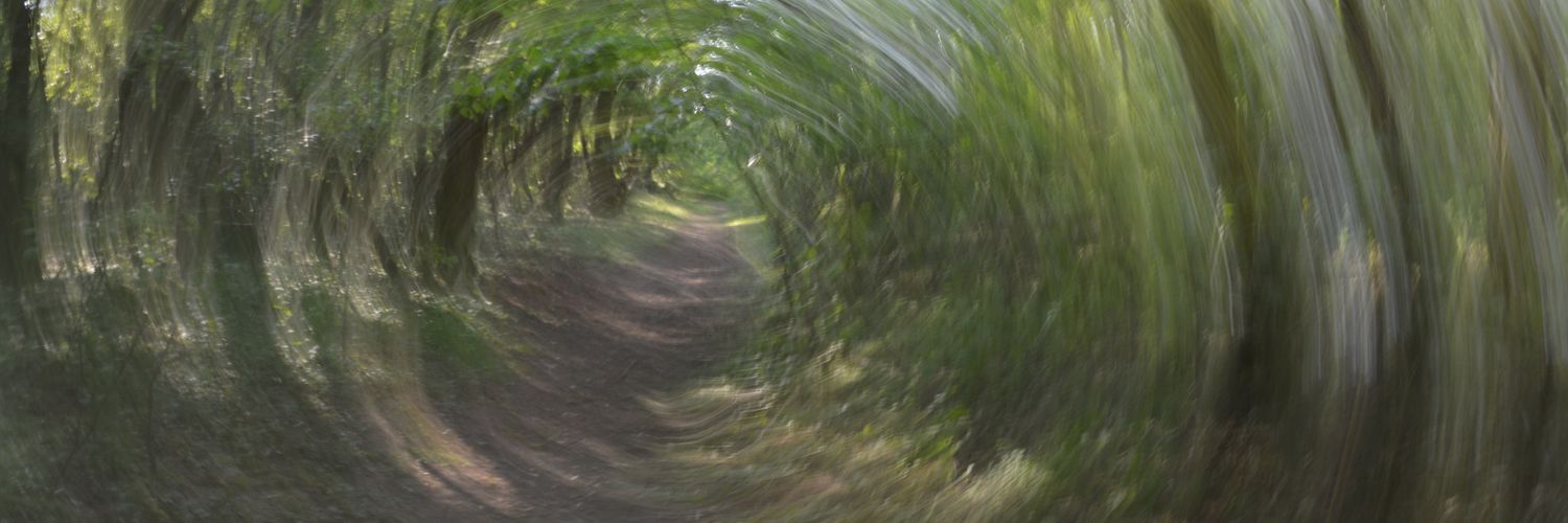 Timouhlig's profile banner image