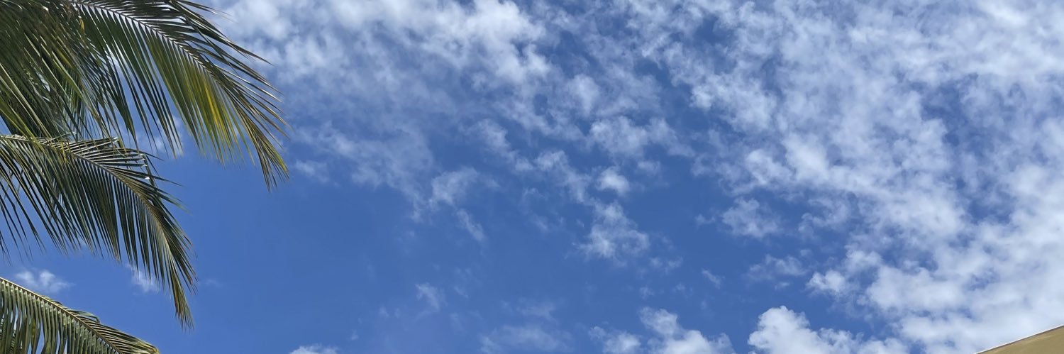 SalmaPChavez's profile banner image