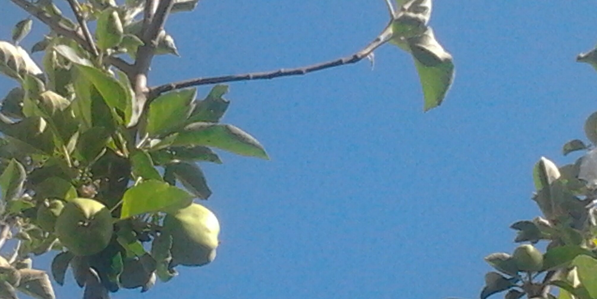 emmagdaleno's profile banner image
