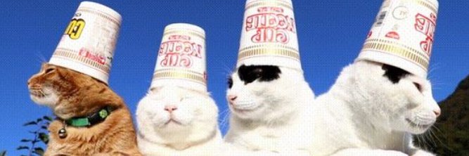 ICatchYourCat's profile banner image