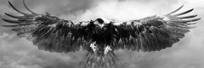 Huseynunal's profile banner image