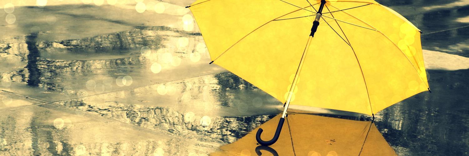 Takovska's profile banner image