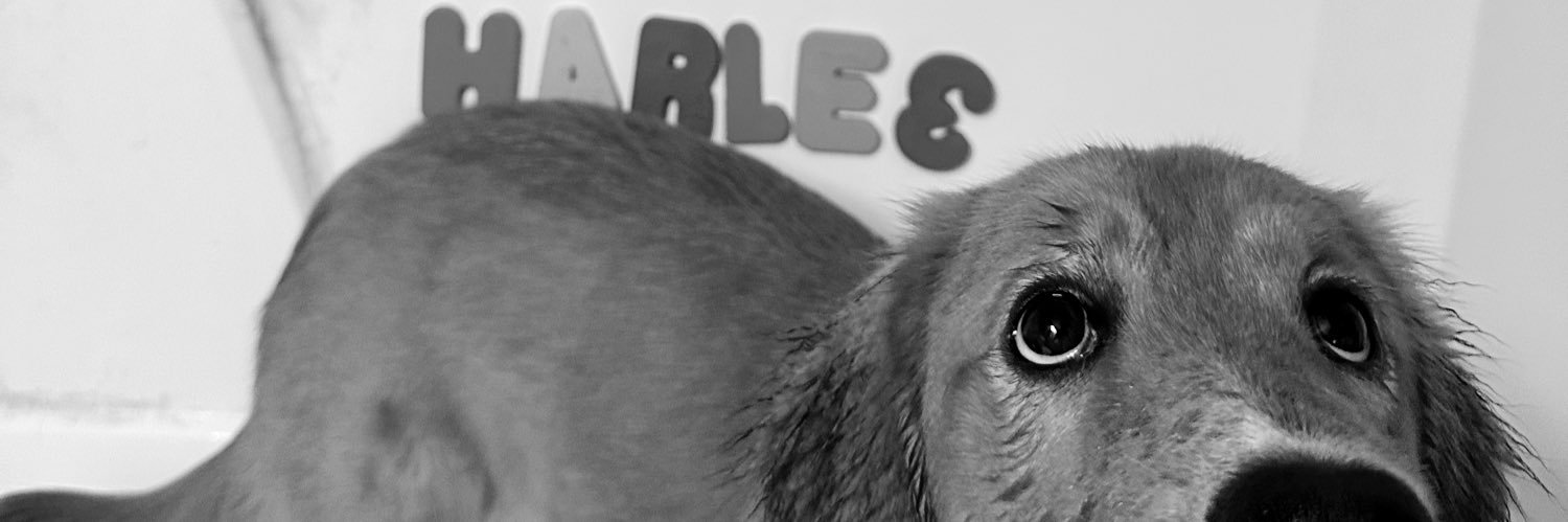 ___carag___'s profile banner image
