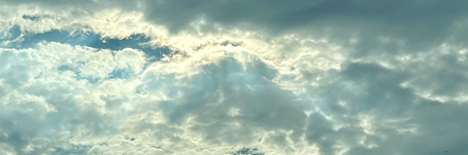 grvcemnz's profile banner image