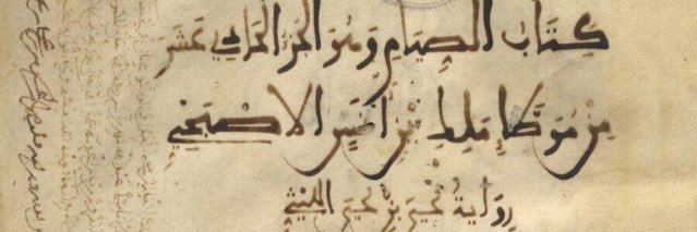 فؤاد بولفاف banner