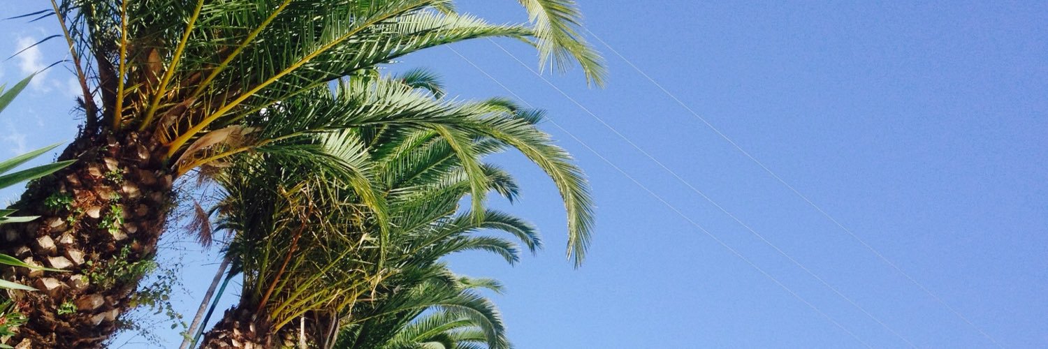 Biebosaur's profile banner image