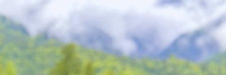 فاطمة المطيري banner