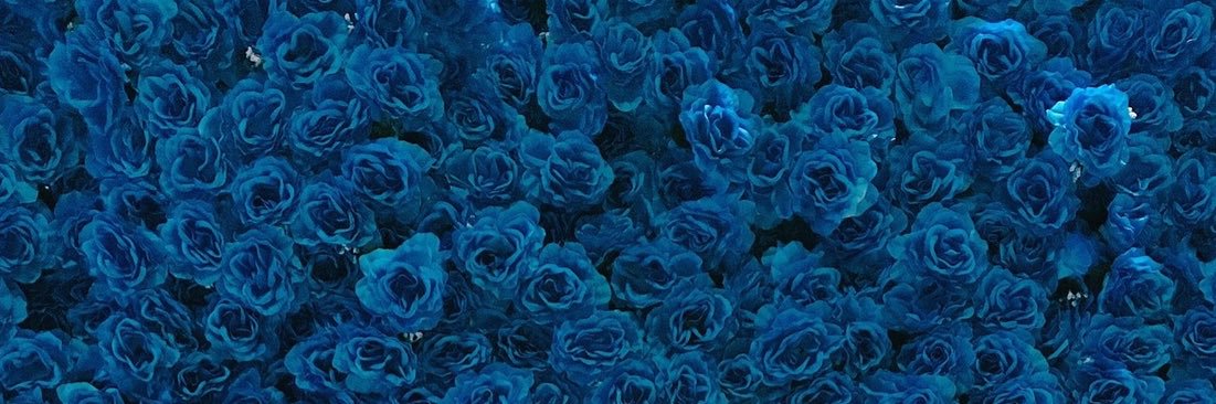 tastetyee's profile banner image