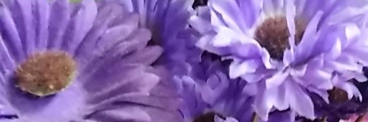 blrod1971_'s profile banner image