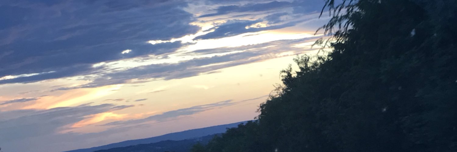lolnokatie's profile banner image