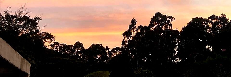 lauris123405's profile banner image