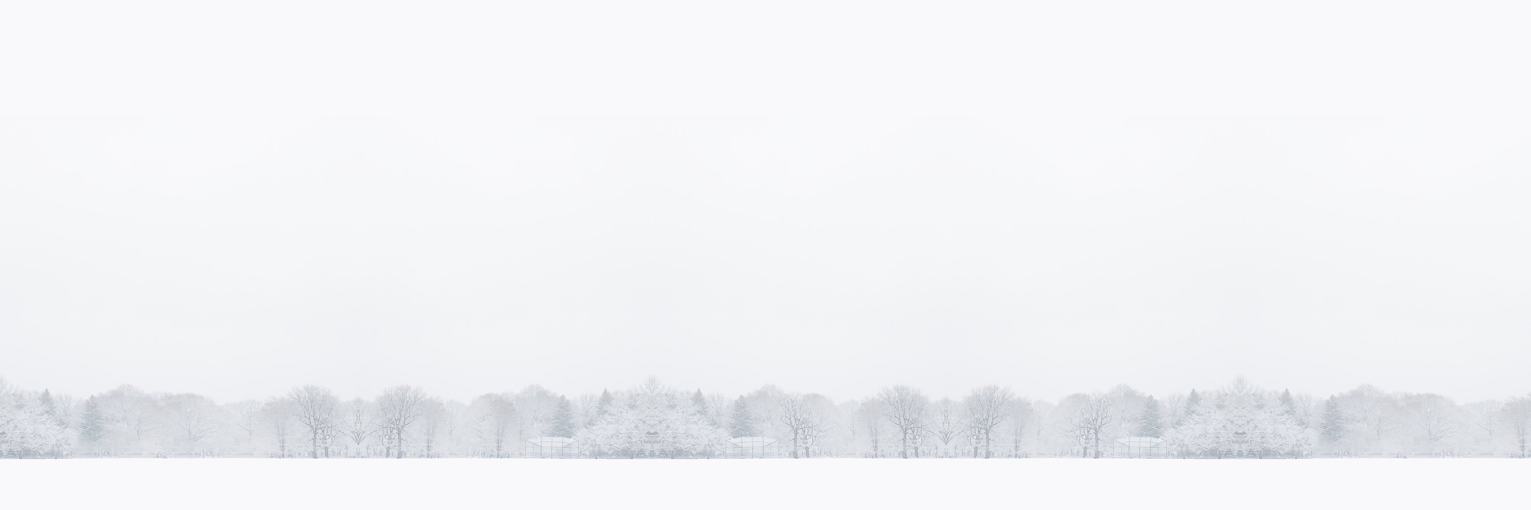 Antoine Vidal banner